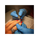 Ірина Мочкодан