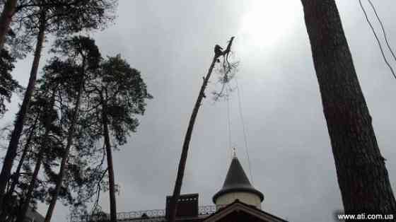 Видалення аварійних дерев (063)2372737 Kiev