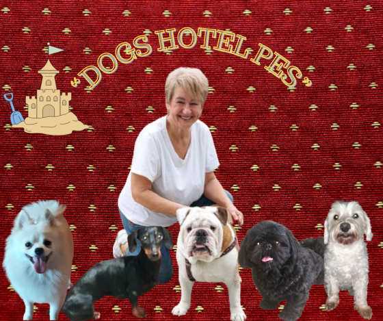 Гостиница для собак в Киеве - Dogs Hotel Pes Kiev
