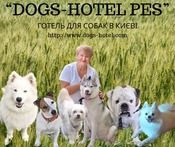 Готель для перетримки собак в Києві - Dogs Hotel Pes Київ