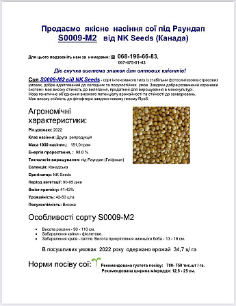Продаємо якісне насіння сої під Раундап S0009-M2 від NK Seeds (Канада)  - изображение 1