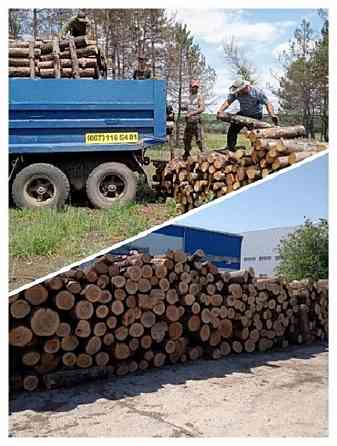 Продам дрова дубовые. Odessa