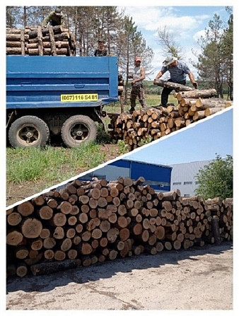 Продам дрова дубовые. Одеса - изображение 1