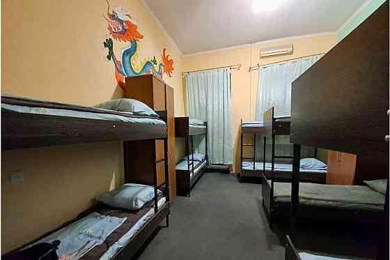 Здам ліжко-місця в хостелах Києва Kiev