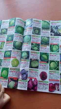 Безкоштовний журнал-каталог насіння овочів та квітів Vasylkiv