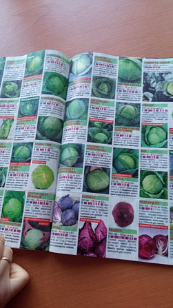 Безкоштовний журнал-каталог насіння овочів та квітів Васильків - изображение 2