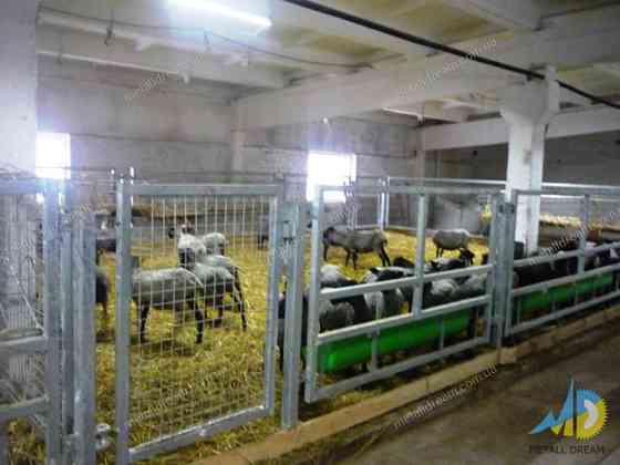 Стійлове обладнання для утримання кіз та овець Kiev