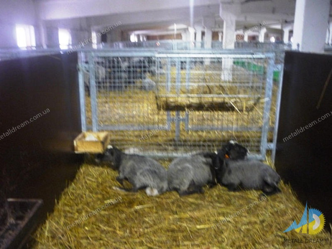Стійлове обладнання для утримання кіз та овець Київ - obraz 4