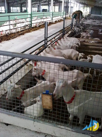 Стійлове обладнання для утримання кіз та овець Київ - obraz 2