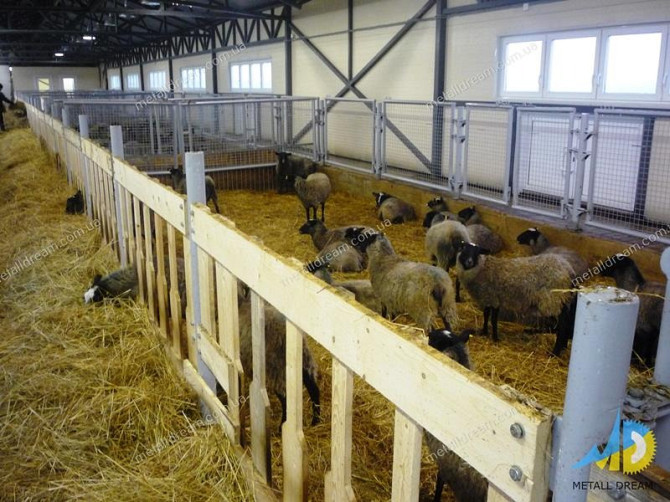 Стійлове обладнання для утримання кіз та овець Київ - изображение 5