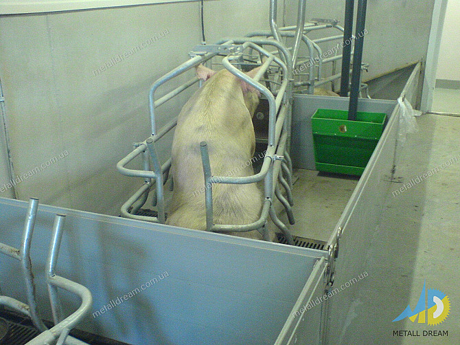 Свинарство. Верстатне обладнання для свинарських ферм. Київ - зображення 3