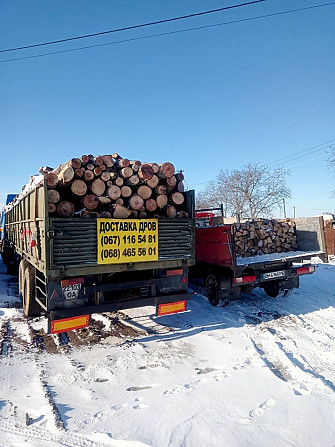 Продам березовые, сосновые дрова метровки. Одеса - изображение 1