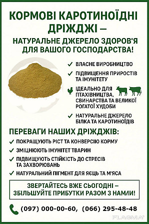 Кормові дріжджі – білково-вітамінна добавка від виробника по Україні та на експорт. Кривий Ріг - зображення 2