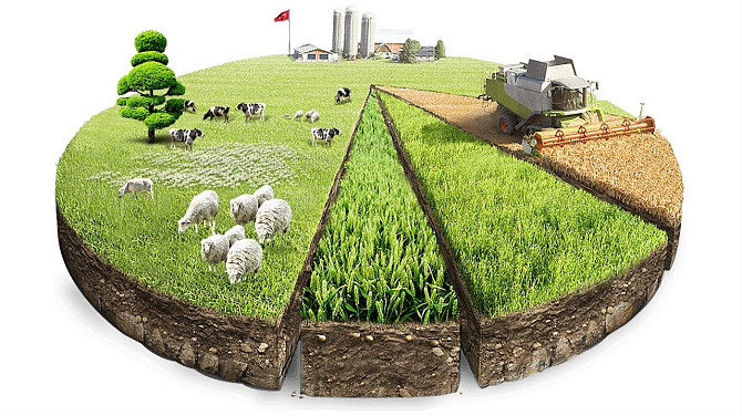 Приватизація земельної ділянки Узгодження всієї документації. Миколаїв - зображення 1