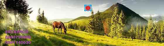 Екскурсовод по Карпатах, екскурсії по Карпатах, гід Яремче, екскурсії Яремче