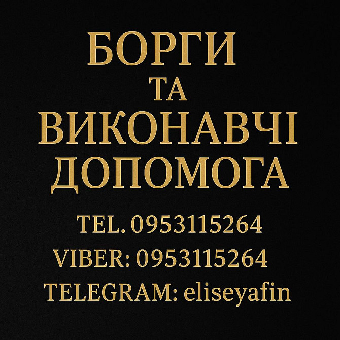 Борги та Виконавчі. Допомога Київ - зображення 1