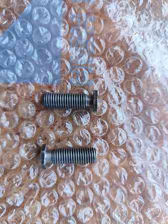 Болтик для сигналізатора, ДОВГИЙ - 28 мм., болт сигнализатора BSF 3/8 Кам'янське